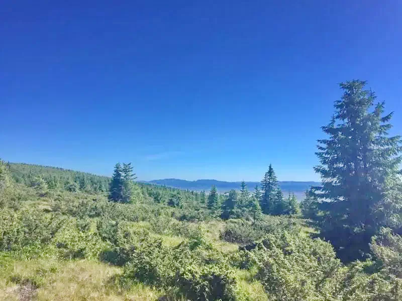 Hargitafürdő Szállás | Motel (K1217-36) A kép szerzői jogvédelem alatt állhat. Javasolt a kapcsolatfelvétel a jog tulajdonossal.