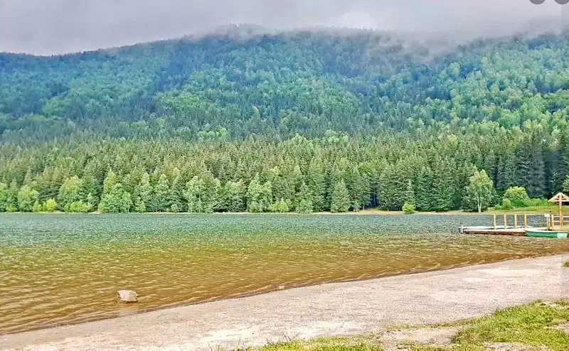 Băile Bálványos Cazare | Pensiune (K0410-39) Imaginea poate fi supusă drepturilor de autor. Se recomandă contactarea titularului drepturilor. Băile Bálványos Cazare | Pensiune (K0410-39) Imaginea poate fi supusă drepturilor de autor. Se recomandă contactarea titularului drepturilor.