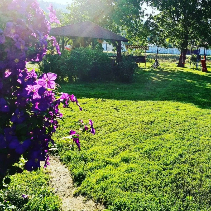 Felsőpián Szállás | Motel (K1551-16) A kép szerzői jogvédelem alatt állhat. Javasolt a kapcsolatfelvétel a jog tulajdonossal.