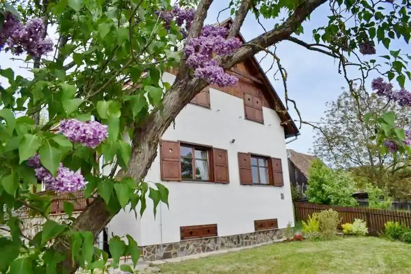 Dârjiu Cazare | Sat de vacanță (K0600-1) Imaginea poate fi supusă drepturilor de autor. Se recomandă contactarea titularului drepturilor.