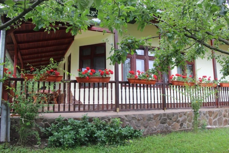 Chibed Cazare | Hotel**** (K1570-1) Imaginea poate fi supusă drepturilor de autor. Se recomandă contactarea titularului drepturilor.