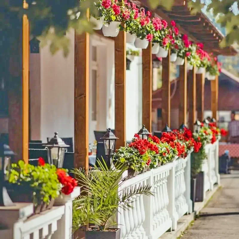 Cazare Băile Homorod - Hotel Homorod*** | Homoródfürdő - Homoród Hotel***. Imaginea poate fi supusă drepturilor de autor. Se recomandă contactarea titularului drepturilor.