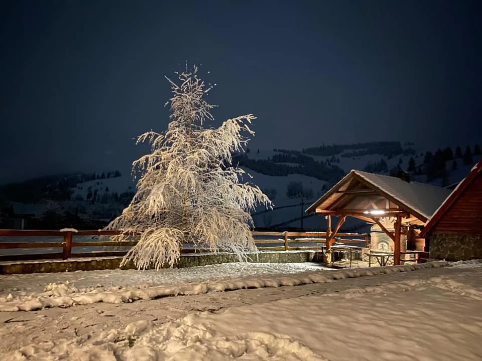 Lunca de Jos Cazare | Motel (K0807-20) Imaginea poate fi supusă drepturilor de autor. Se recomandă contactarea titularului drepturilor.