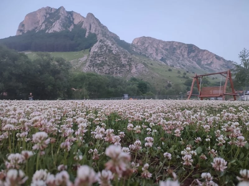 Rimetea Cazare | Pensiune (K1438-47) Imaginea poate fi supusă drepturilor de autor. Se recomandă contactarea titularului drepturilor. Rimetea Cazare | Pensiune (K1438-47) Imaginea poate fi supusă drepturilor de autor. Se recomandă contactarea titularului drepturilor.