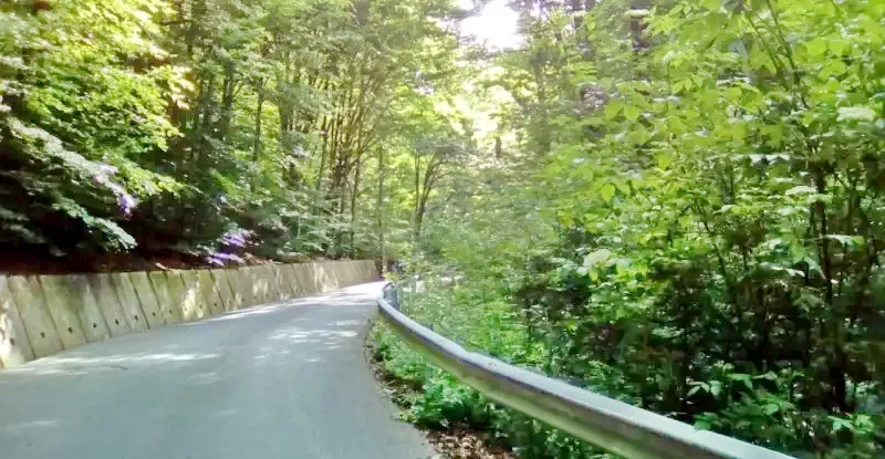 Sovata Cazare | Hotel** (K0023-43) Imaginea poate fi supusă drepturilor de autor. Se recomandă contactarea titularului drepturilor. Sovata Cazare | Hotel** (K0023-43) Imaginea poate fi supusă drepturilor de autor. Se recomandă contactarea titularului drepturilor.