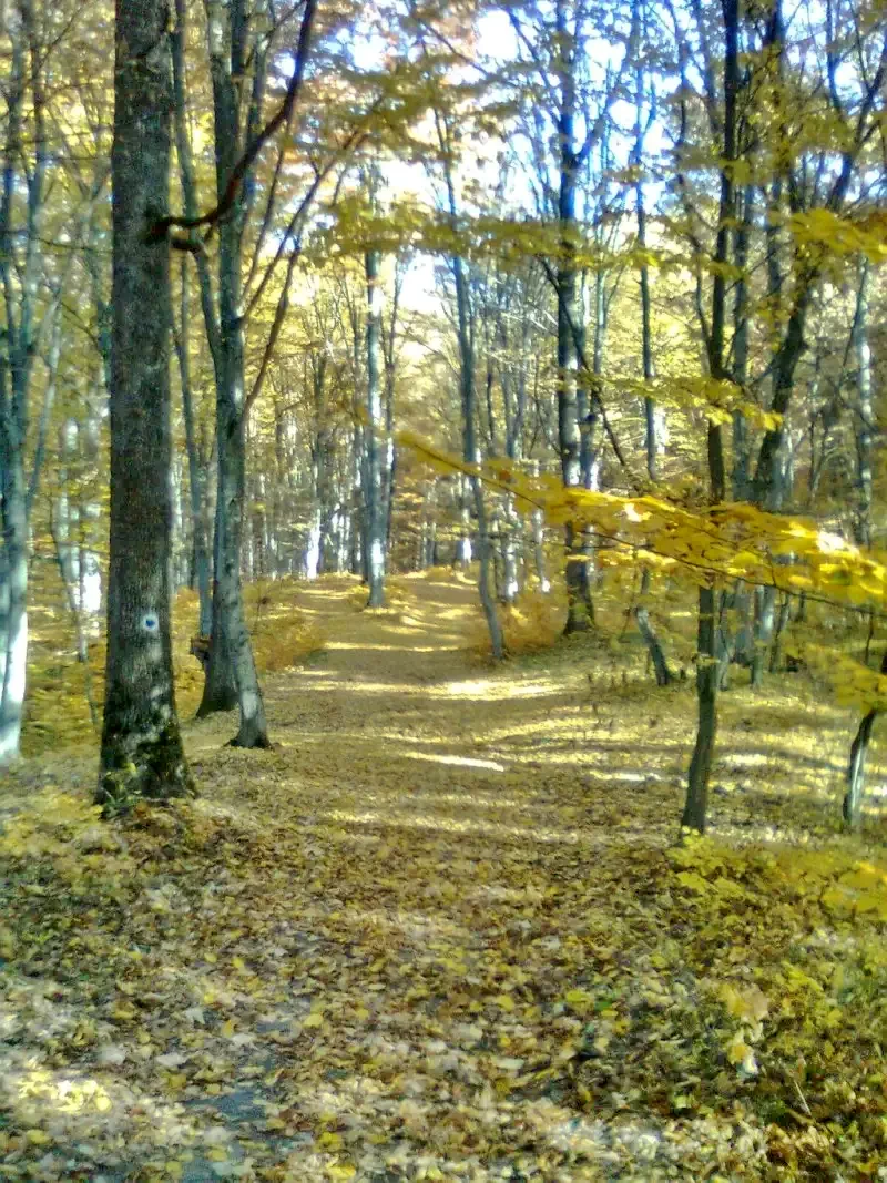 Sovata Cazare | Hotel** (K0023-49) Imaginea poate fi supusă drepturilor de autor. Se recomandă contactarea titularului drepturilor. Sovata Cazare | Hotel** (K0023-49) Imaginea poate fi supusă drepturilor de autor. Se recomandă contactarea titularului drepturilor.