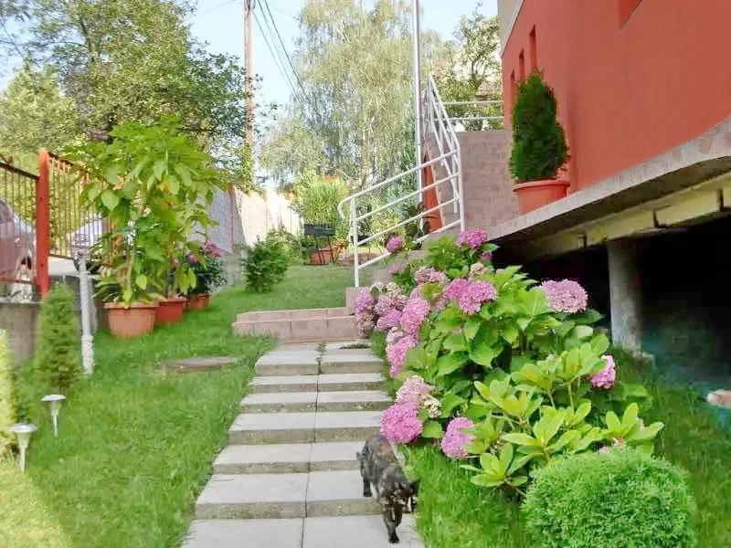 Miskolc Szállás | Vendégház (K0862-13) A kép szerzői jogvédelem alatt állhat. Javasolt a kapcsolatfelvétel a jog tulajdonossal.