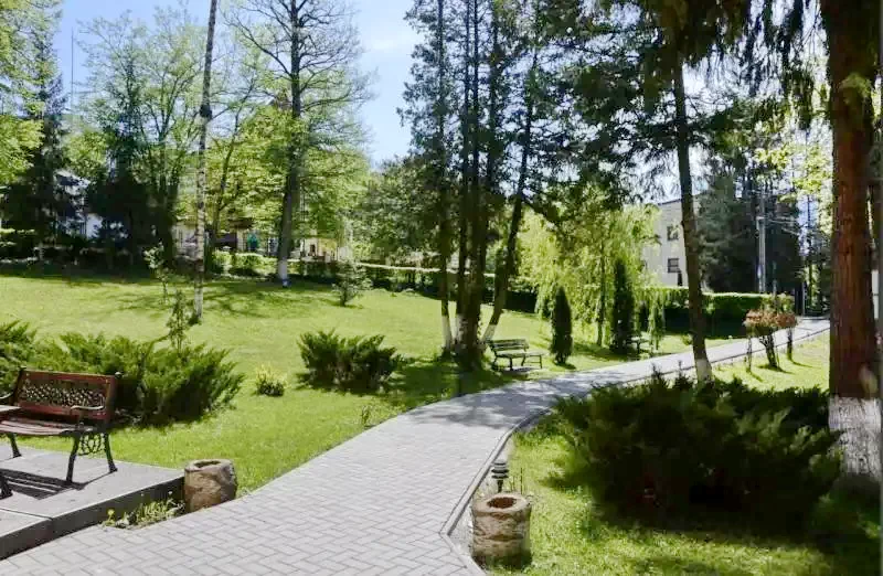 Sovata Cazare | Vila (K0063-19) Imaginea poate fi supusă drepturilor de autor. Se recomandă contactarea titularului drepturilor.