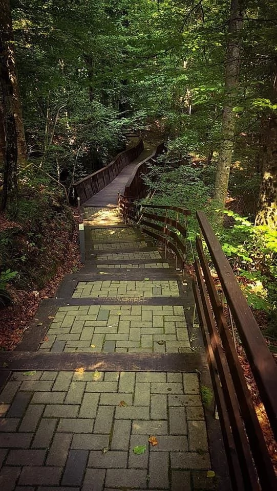 Szováta Szállás | Kemping / turistapihenő (K0063-58) A kép szerzői jogvédelem alatt állhat. Javasolt a kapcsolatfelvétel a jog tulajdonossal.