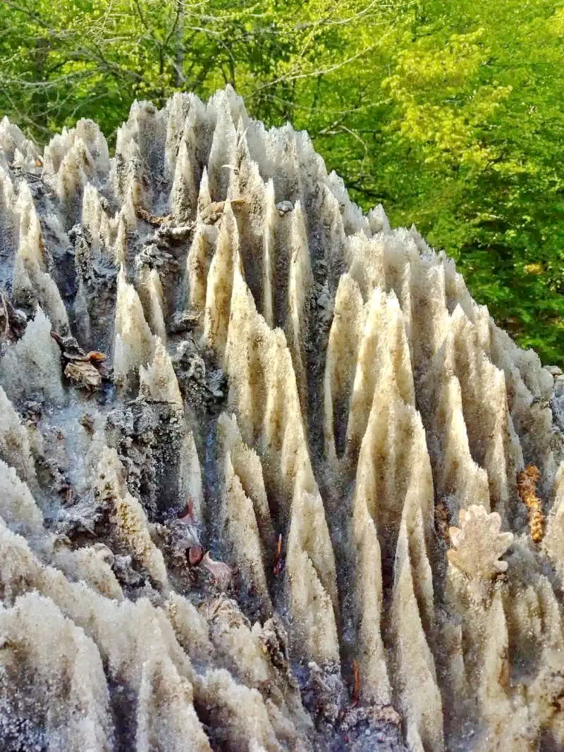 Muntele de sare, Sovata