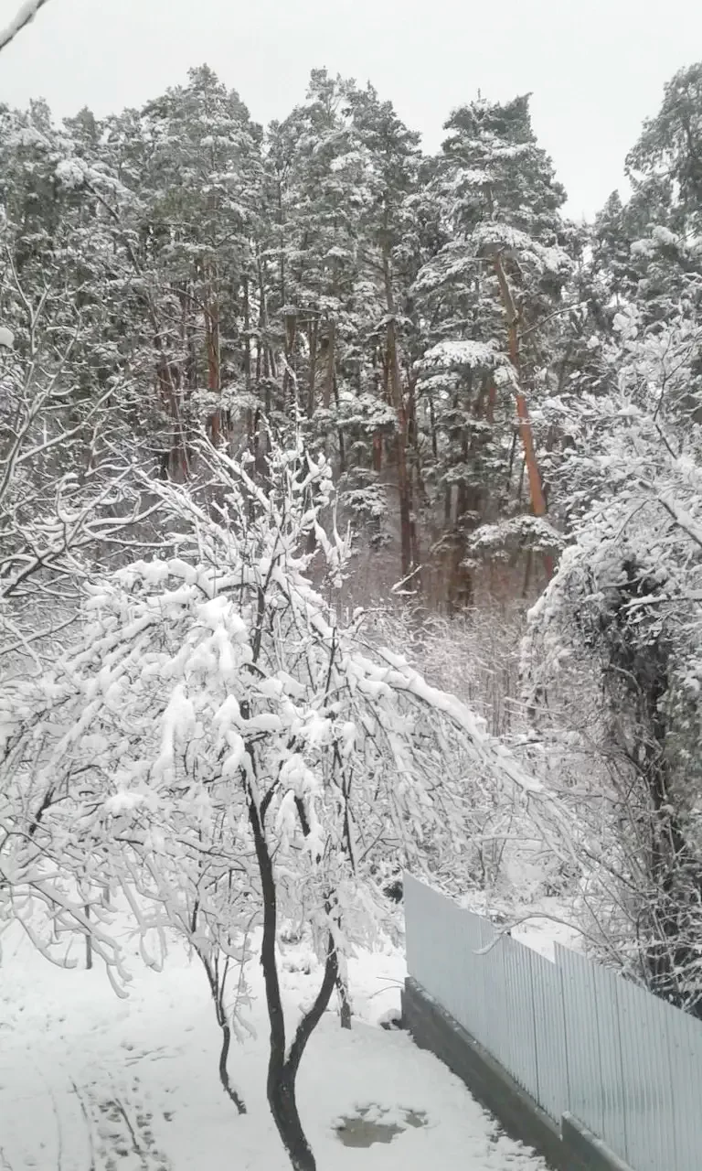 Szováta Szállás | Bungalow (K0097-27) A kép szerzői jogvédelem alatt állhat. Javasolt a kapcsolatfelvétel a jog tulajdonossal.