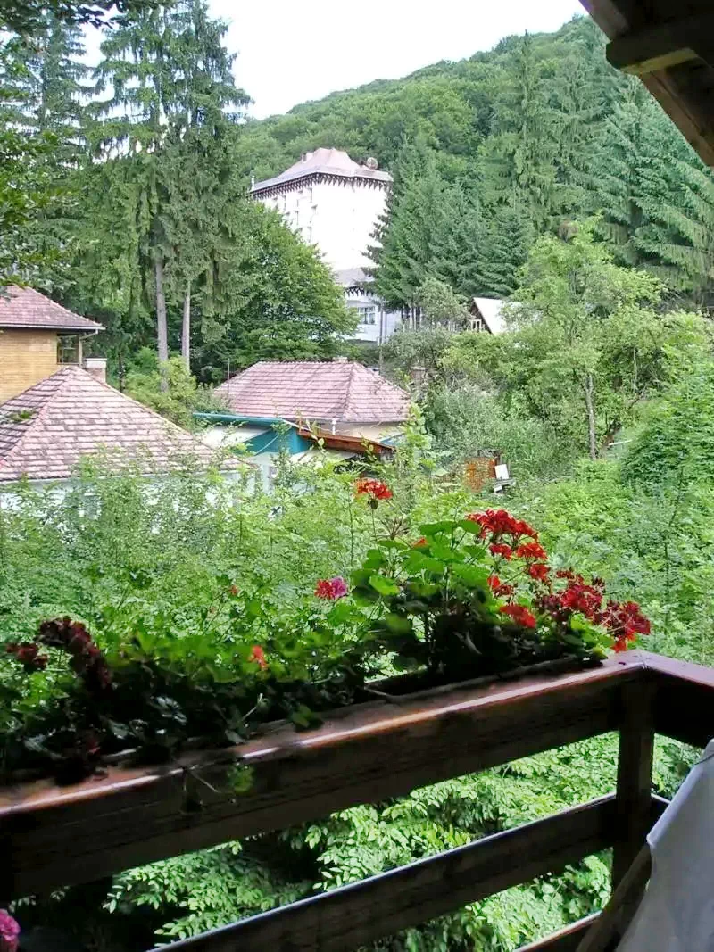 Szállás Sovata - Vila Edit *** | Szováta - Edit Villa ***. A kép szerzői jogvédelem alatt állhat. Javasolt a kapcsolatfelvétel a jog tulajdonossal.