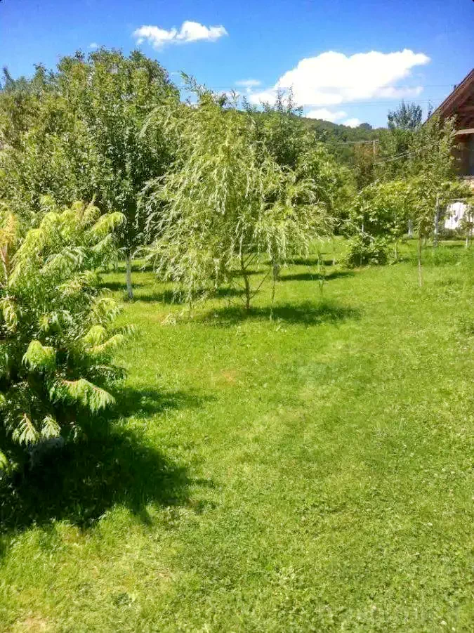 Sovata Cazare | Cabană (K0192-15) Imaginea poate fi supusă drepturilor de autor. Se recomandă contactarea titularului drepturilor. Sovata Cazare | Cabană (K0192-15) Imaginea poate fi supusă drepturilor de autor. Se recomandă contactarea titularului drepturilor.