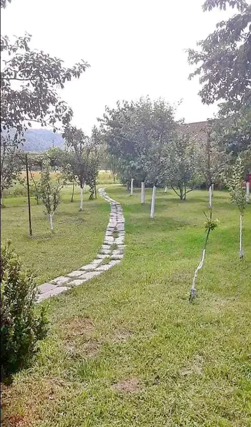 Sovata Cazare | Sat de vacanță (K0192-23) Imaginea poate fi supusă drepturilor de autor. Se recomandă contactarea titularului drepturilor.