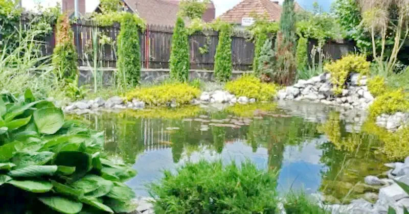 Szováta Szállás | Hotel**** (K0196-14) A kép szerzői jogvédelem alatt állhat. Javasolt a kapcsolatfelvétel a jog tulajdonossal.