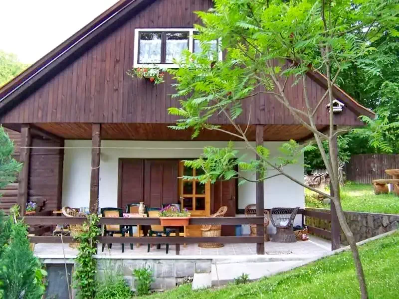 Sovata Cazare | Sat de vacanță (K0211-1) Imaginea poate fi supusă drepturilor de autor. Se recomandă contactarea titularului drepturilor.