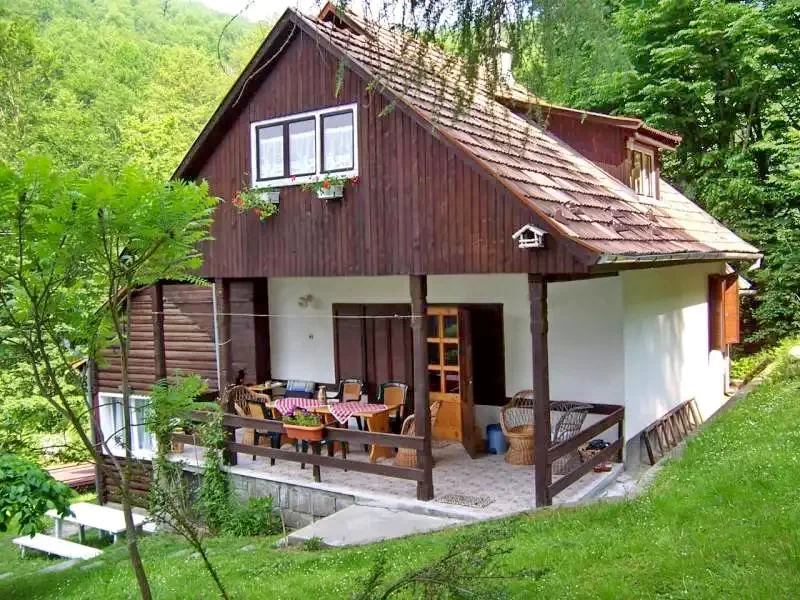 Sovata Cazare | Sat de vacanță (K0211-19) Imaginea poate fi supusă drepturilor de autor. Se recomandă contactarea titularului drepturilor.