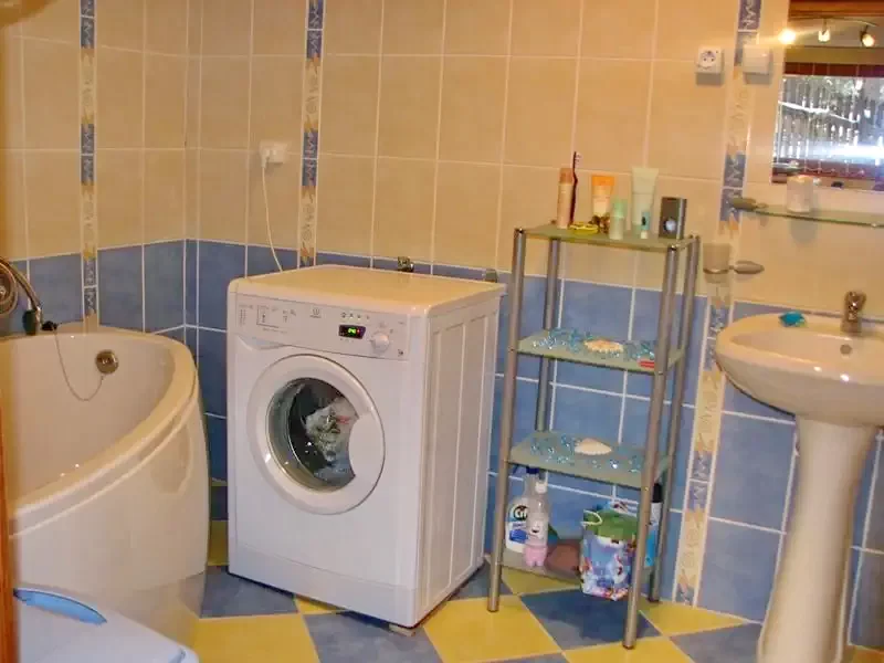 Szováta Szállás | Üdülőfalu (K0218-21) A kép szerzői jogvédelem alatt állhat. Javasolt a kapcsolatfelvétel a jog tulajdonossal.