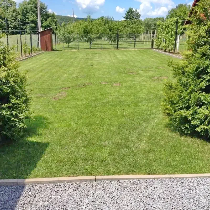 Szállás Sovata - Casa de vacanță Bambi | Szováta - Bambi Vendégház. A kép szerzői jogvédelem alatt állhat. Javasolt a kapcsolatfelvétel a jog tulajdonossal.