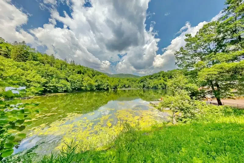 Szováta Szállás | Hotel**** (K0226-36) A kép szerzői jogvédelem alatt állhat. Javasolt a kapcsolatfelvétel a jog tulajdonossal.