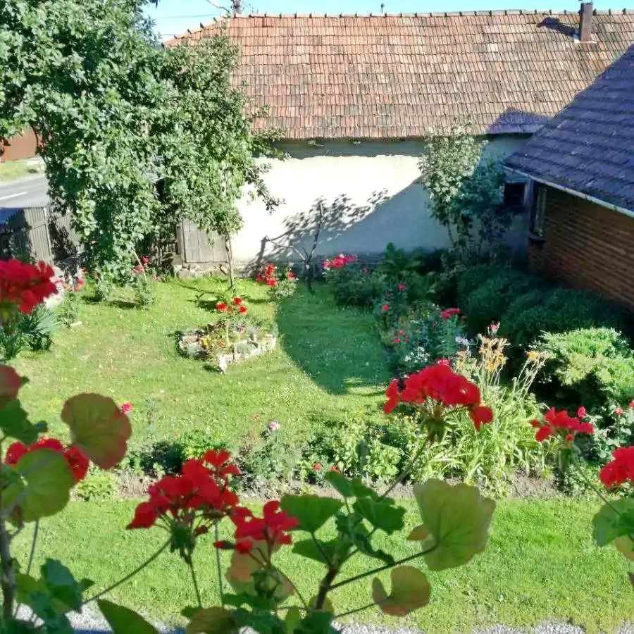 Sovata Cazare | Sat de vacanță (K0243-29) Imaginea poate fi supusă drepturilor de autor. Se recomandă contactarea titularului drepturilor.