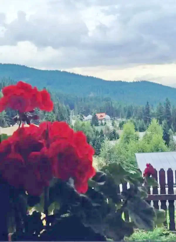 Harghita-Băi Cazare | Motel (K0186-20) Imaginea poate fi supusă drepturilor de autor. Se recomandă contactarea titularului drepturilor.