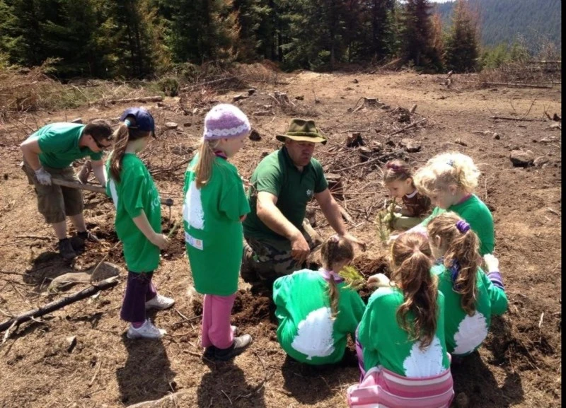 Harghita-Băi Cazare | Pensiune turistică (K0780-64) Imaginea poate fi supusă drepturilor de autor. Se recomandă contactarea titularului drepturilor.