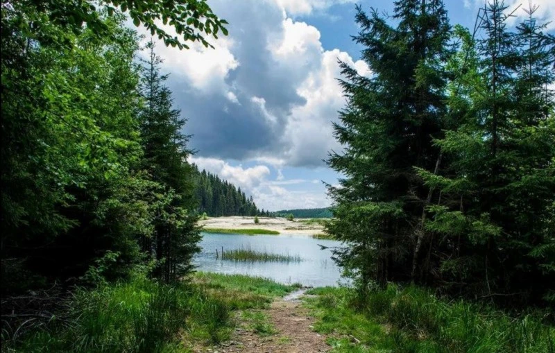 Harghita-Băi Cazare | Pensiune turistică (K0780-67) Imaginea poate fi supusă drepturilor de autor. Se recomandă contactarea titularului drepturilor.