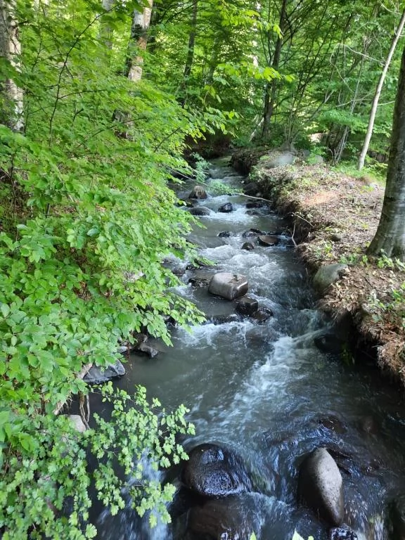 Szováta Szállás | Kemping / turistapihenő (K0315-31) A kép szerzői jogvédelem alatt állhat. Javasolt a kapcsolatfelvétel a jog tulajdonossal.