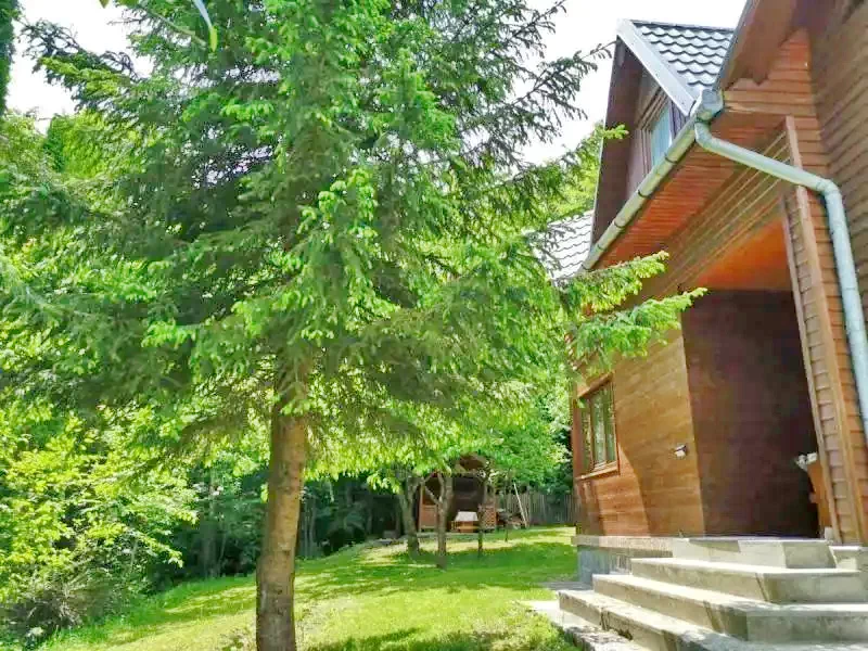 Sovata Cazare | Sat de vacanță (K0319-14) Imaginea poate fi supusă drepturilor de autor. Se recomandă contactarea titularului drepturilor.