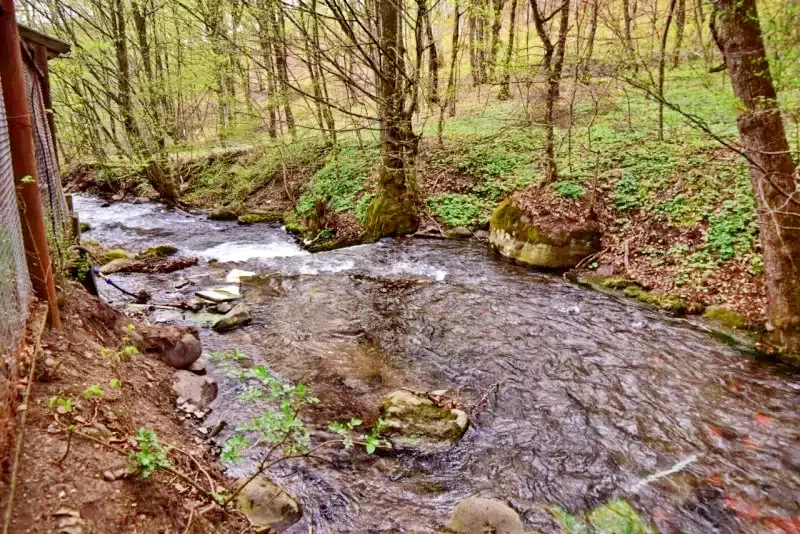 Szováta Szállás | Kemping / turistapihenő (K0329-5) A kép szerzői jogvédelem alatt állhat. Javasolt a kapcsolatfelvétel a jog tulajdonossal.