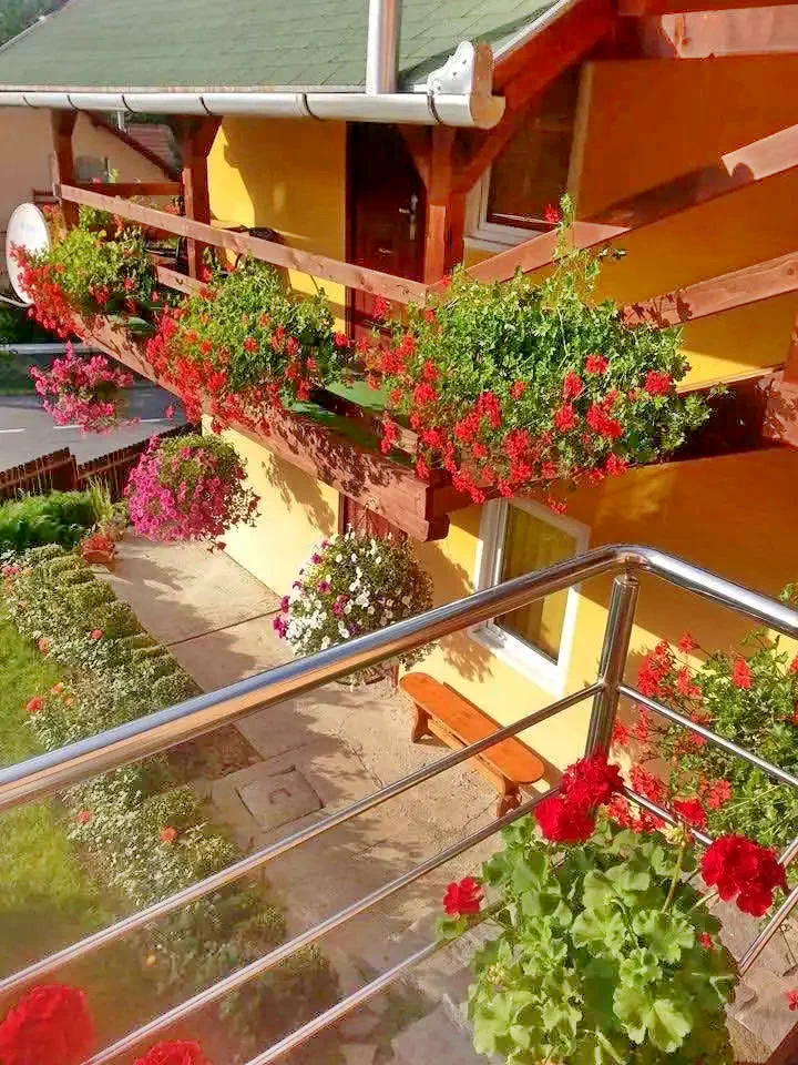 Sovata Cazare | Motel (K0680-32) Imaginea poate fi supusă drepturilor de autor. Se recomandă contactarea titularului drepturilor.