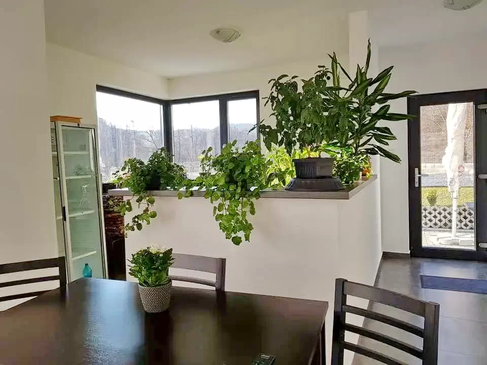 Szállás Sovata - Casa Nagy | Szováta - Nagy Vendégház. A kép szerzői jogvédelem alatt állhat. Javasolt a kapcsolatfelvétel a jog tulajdonossal.