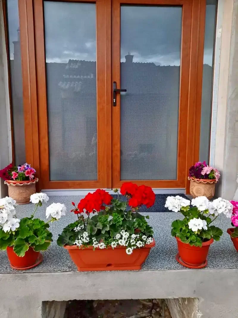 Sovata Cazare | Sat de vacanță (K0819-20) Imaginea poate fi supusă drepturilor de autor. Se recomandă contactarea titularului drepturilor.