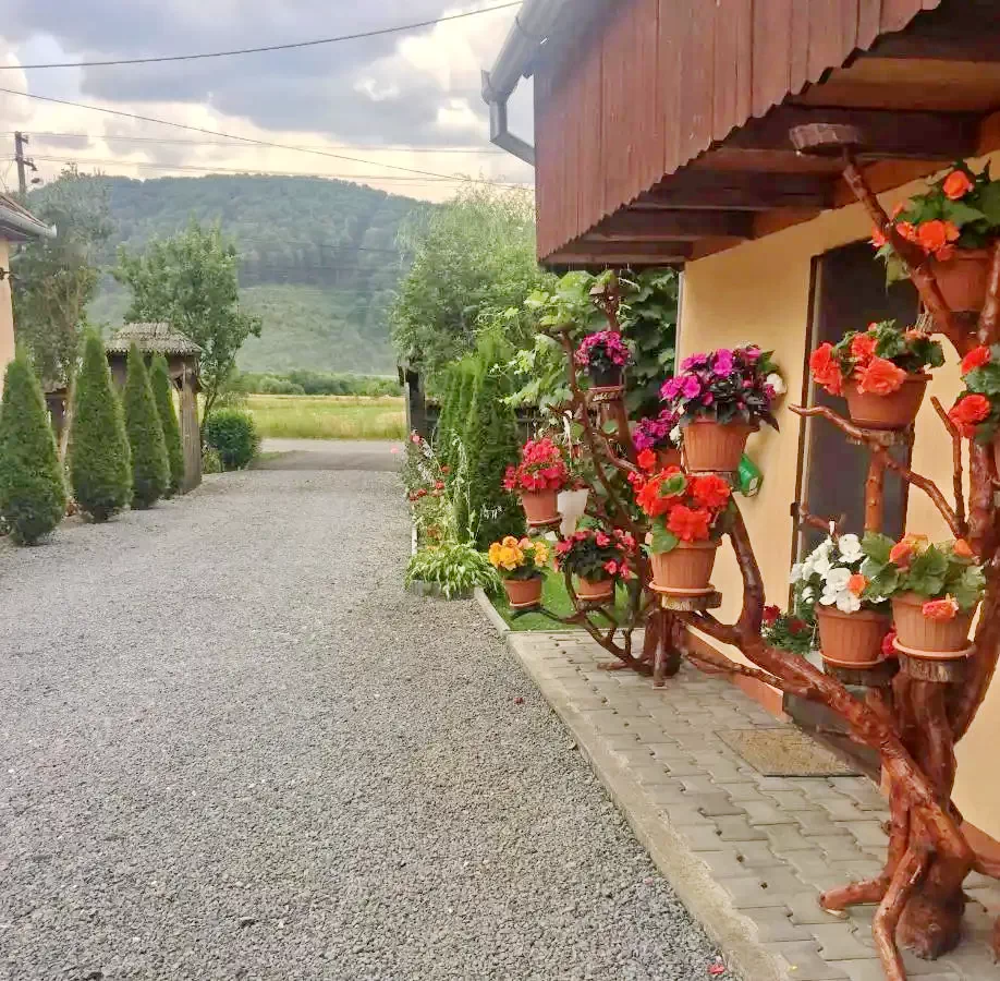 Sovata Cazare | Hotel**** (K1352-24) Imaginea poate fi supusă drepturilor de autor. Se recomandă contactarea titularului drepturilor.