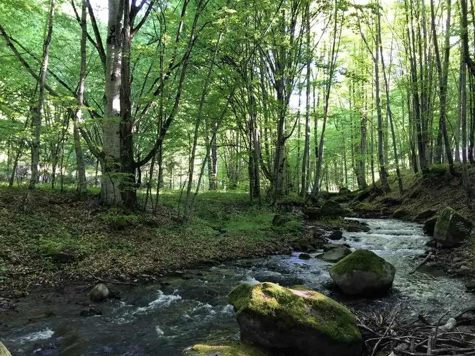 Sovata Cazare | Sat de vacanță (K1477-32) Imaginea poate fi supusă drepturilor de autor. Se recomandă contactarea titularului drepturilor.