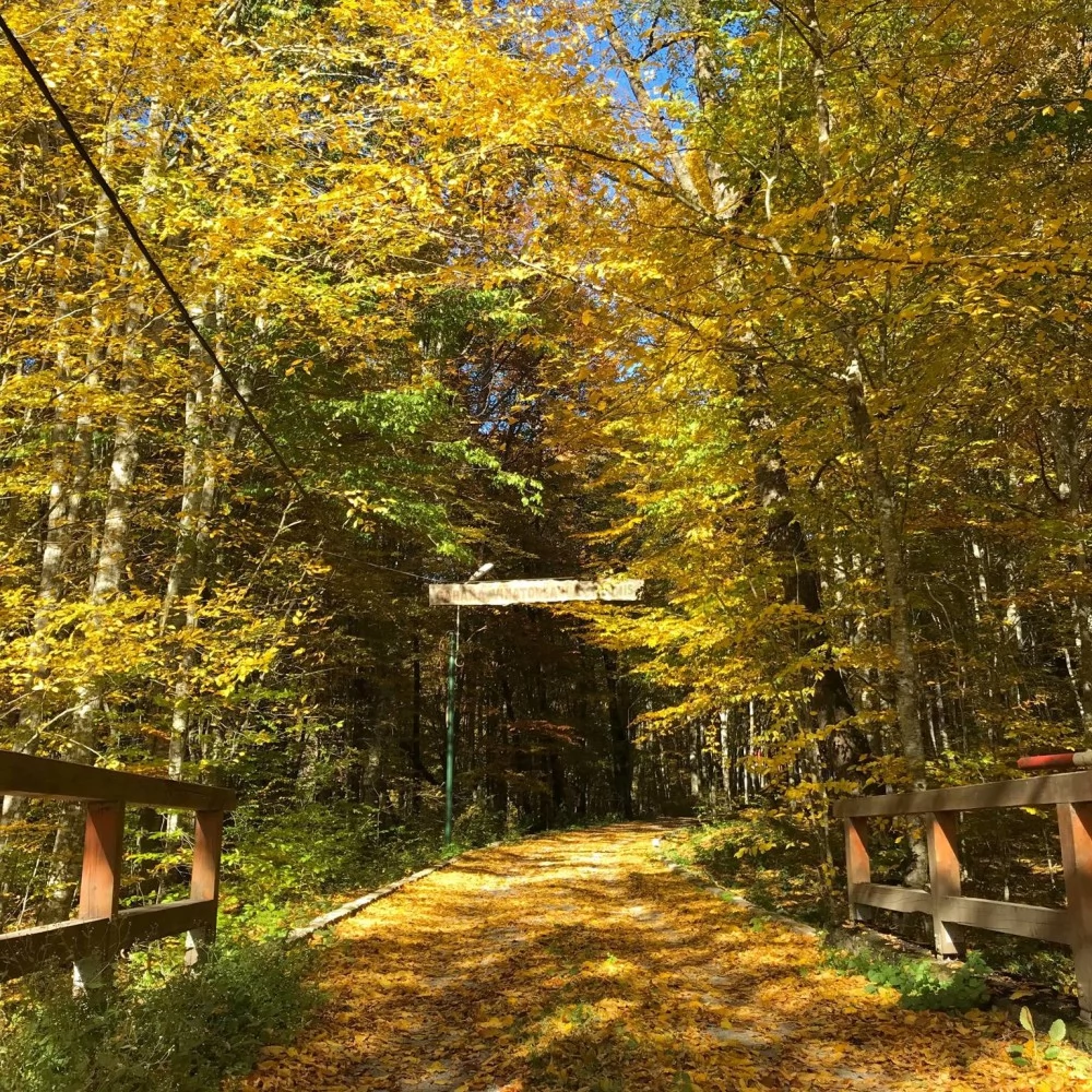 Sovata Cazare | Sat de vacanță (K1477-37) Imaginea poate fi supusă drepturilor de autor. Se recomandă contactarea titularului drepturilor.