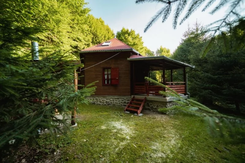 Sovata Cazare | Hotel**** (K1452-9) Imaginea poate fi supusă drepturilor de autor. Se recomandă contactarea titularului drepturilor.