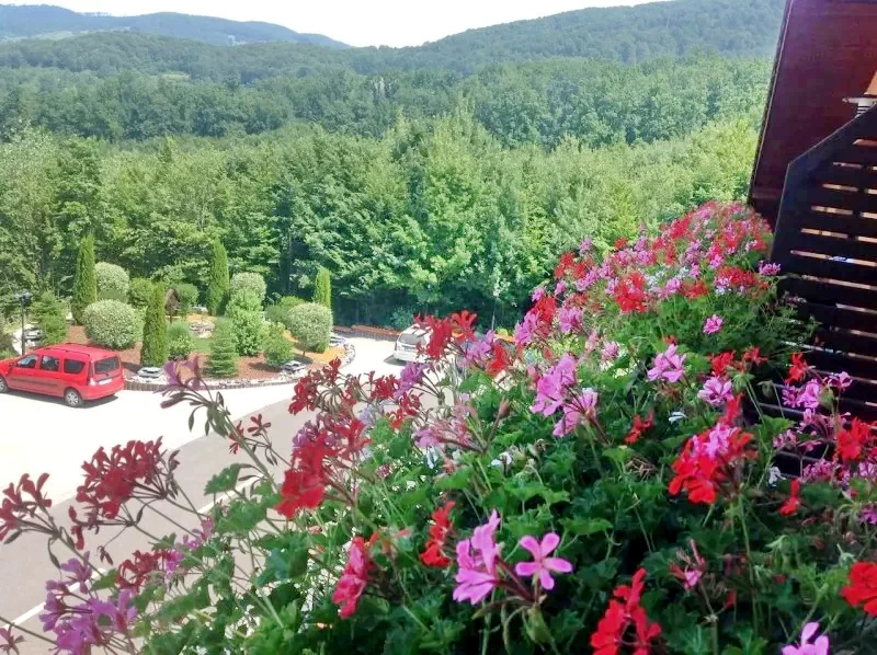 Sovata Cazare | Pensiune turistică (K1432-36) Imaginea poate fi supusă drepturilor de autor. Se recomandă contactarea titularului drepturilor.