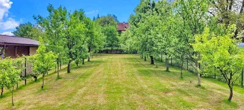 Szováta Szállás | Hotel**** (K1421-18) A kép szerzői jogvédelem alatt állhat. Javasolt a kapcsolatfelvétel a jog tulajdonossal.