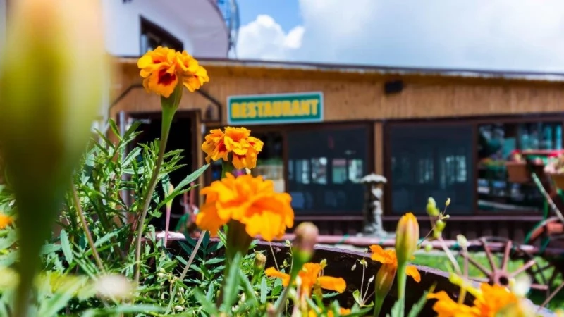 Szebenjuharos Szállás | Motel (K1494-29) A kép szerzői jogvédelem alatt állhat. Javasolt a kapcsolatfelvétel a jog tulajdonossal.