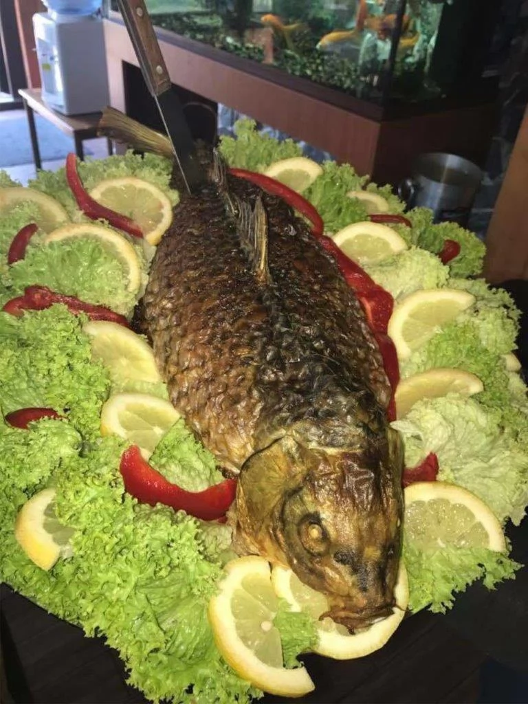 Szebenjuharos Szállás | Motel (K1494-78) A kép szerzői jogvédelem alatt állhat. Javasolt a kapcsolatfelvétel a jog tulajdonossal.