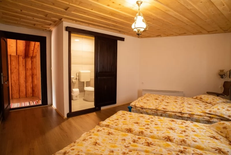 Căpâlnița Cazare | Hotel**** (K0799-13) Imaginea poate fi supusă drepturilor de autor. Se recomandă contactarea titularului drepturilor.