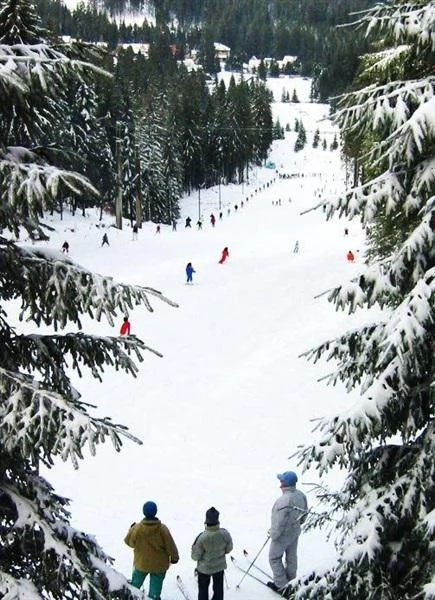 Căpâlnița Cazare | Hotel**** (K0799-79) Imaginea poate fi supusă drepturilor de autor. Se recomandă contactarea titularului drepturilor.