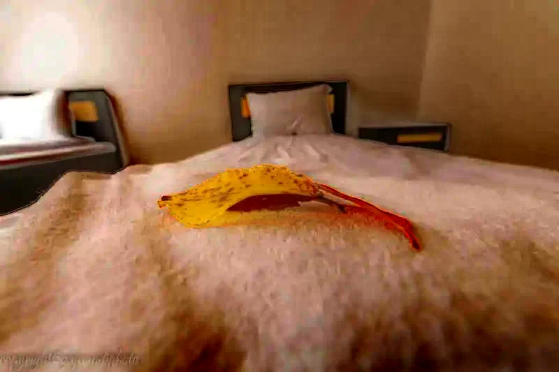 Comandău Cazare | Motel (K1222-28) Imaginea poate fi supusă drepturilor de autor. Se recomandă contactarea titularului drepturilor.