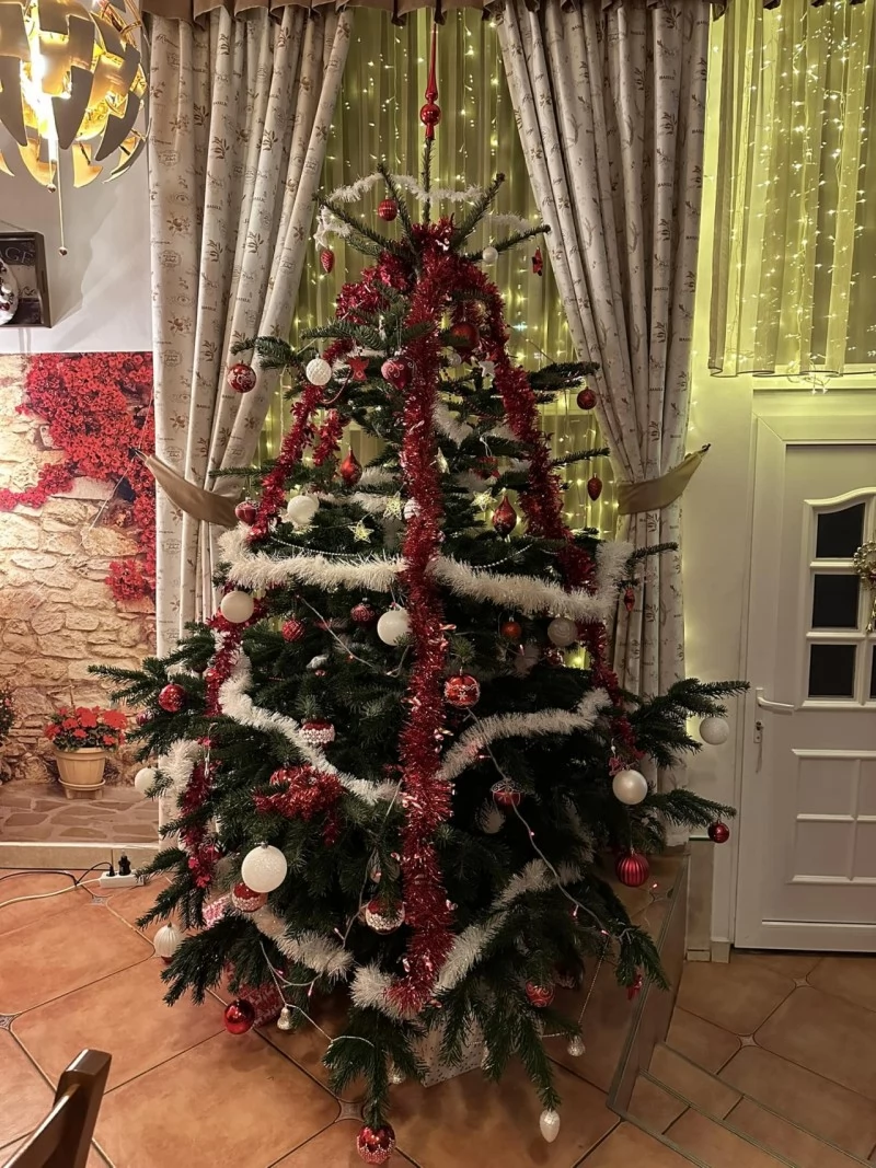 Cârța Cazare | Motel (K0123-62) Imaginea poate fi supusă drepturilor de autor. Se recomandă contactarea titularului drepturilor.