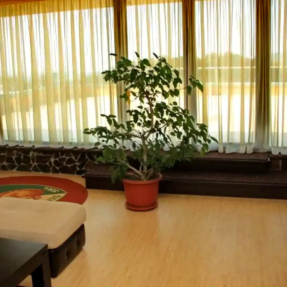 Szováta Szállás | Turisztikai panzió (K0258-51) A kép szerzői jogvédelem alatt állhat. Javasolt a kapcsolatfelvétel a jog tulajdonossal.