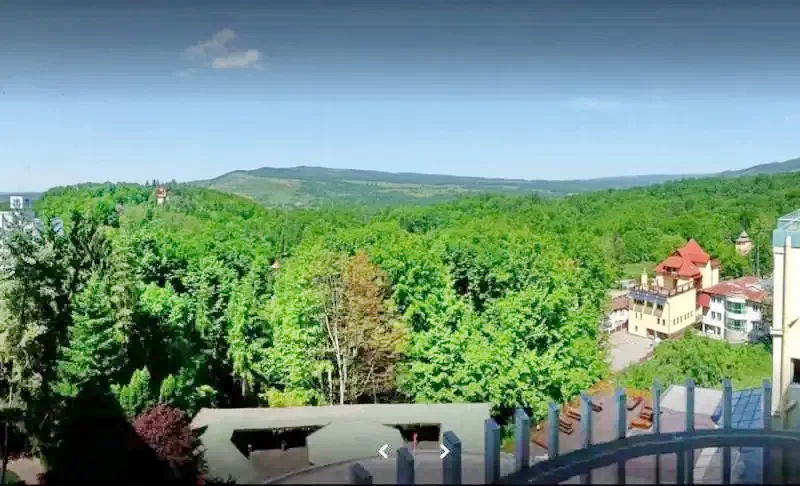 Sovata Cazare | Pensiune turistică (K0258-71) Imaginea poate fi supusă drepturilor de autor. Se recomandă contactarea titularului drepturilor.