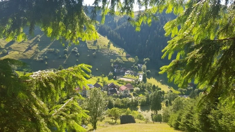 Felsőmoécs Szállás | Motel (K1581-58) A kép szerzői jogvédelem alatt állhat. Javasolt a kapcsolatfelvétel a jog tulajdonossal.