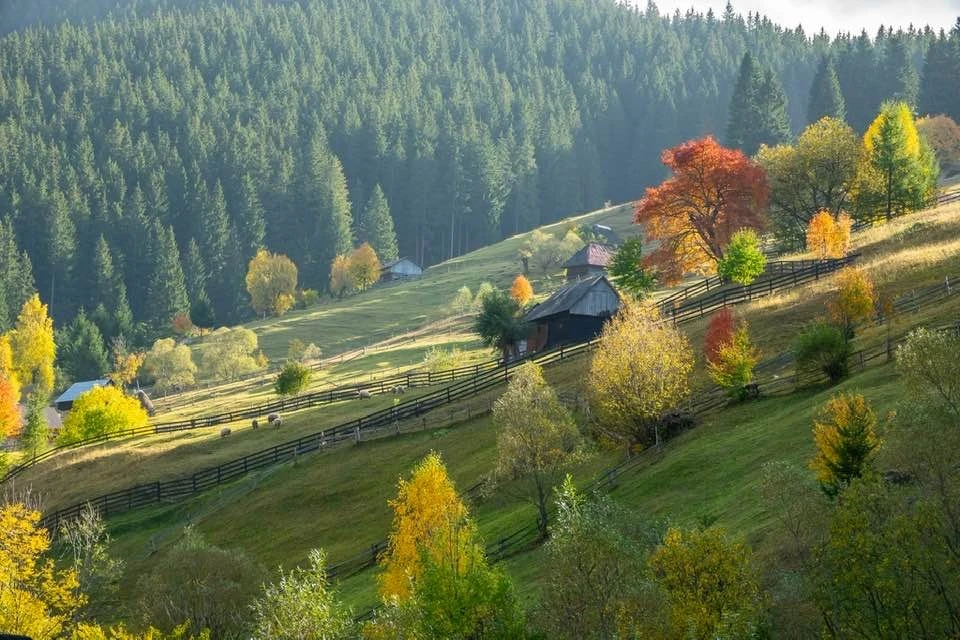 Moieciu de Sus Cazare | Motel (K1581-59) Imaginea poate fi supusă drepturilor de autor. Se recomandă contactarea titularului drepturilor.